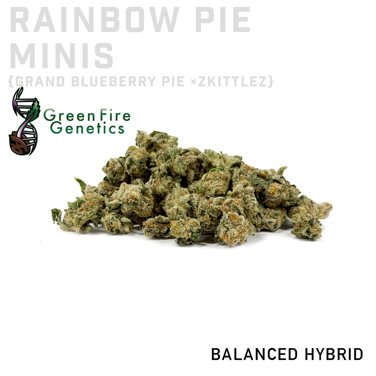 Rainbow Pie Minis