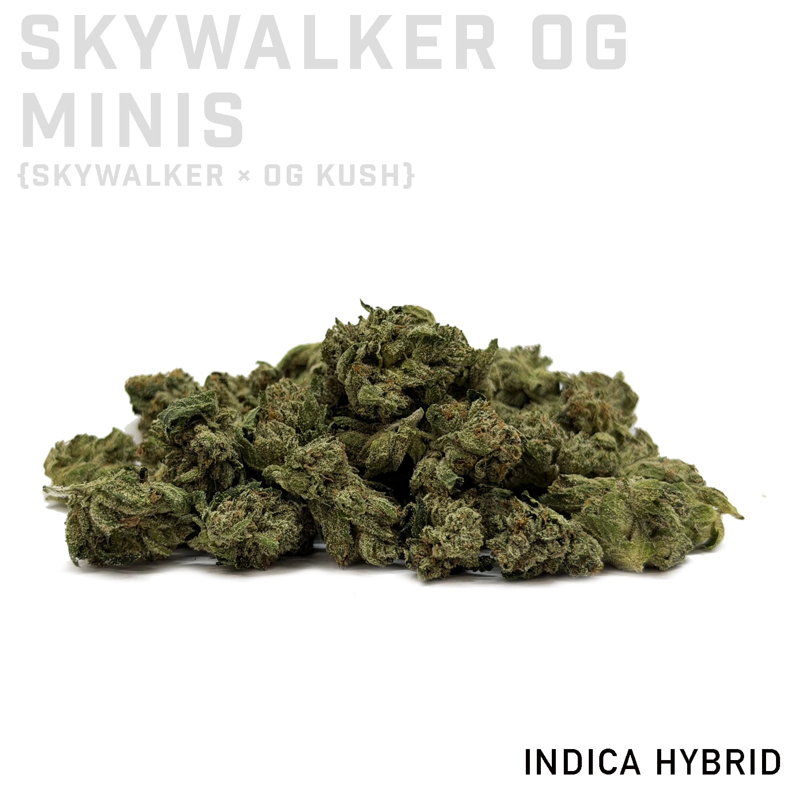 Skywalker OG Minis