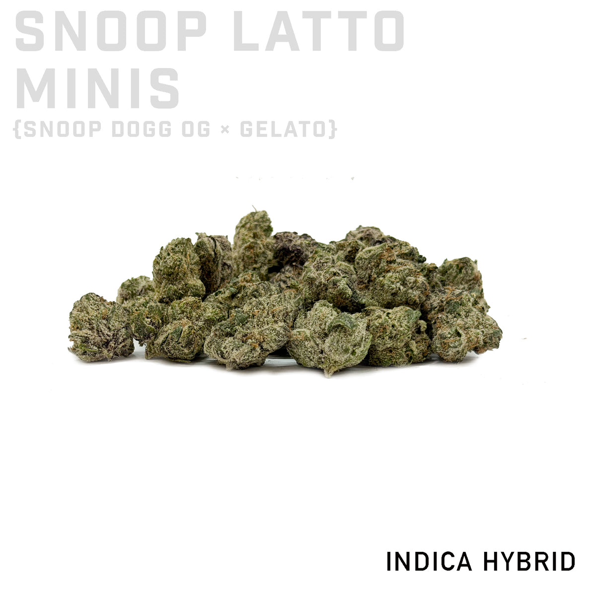 Snoop Latto Minis