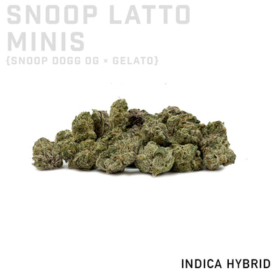 Snoop Latto Minis