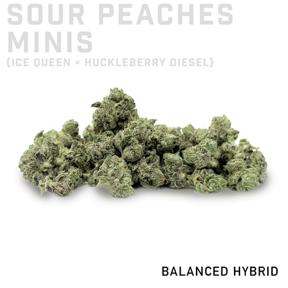Sour Peaches Minis