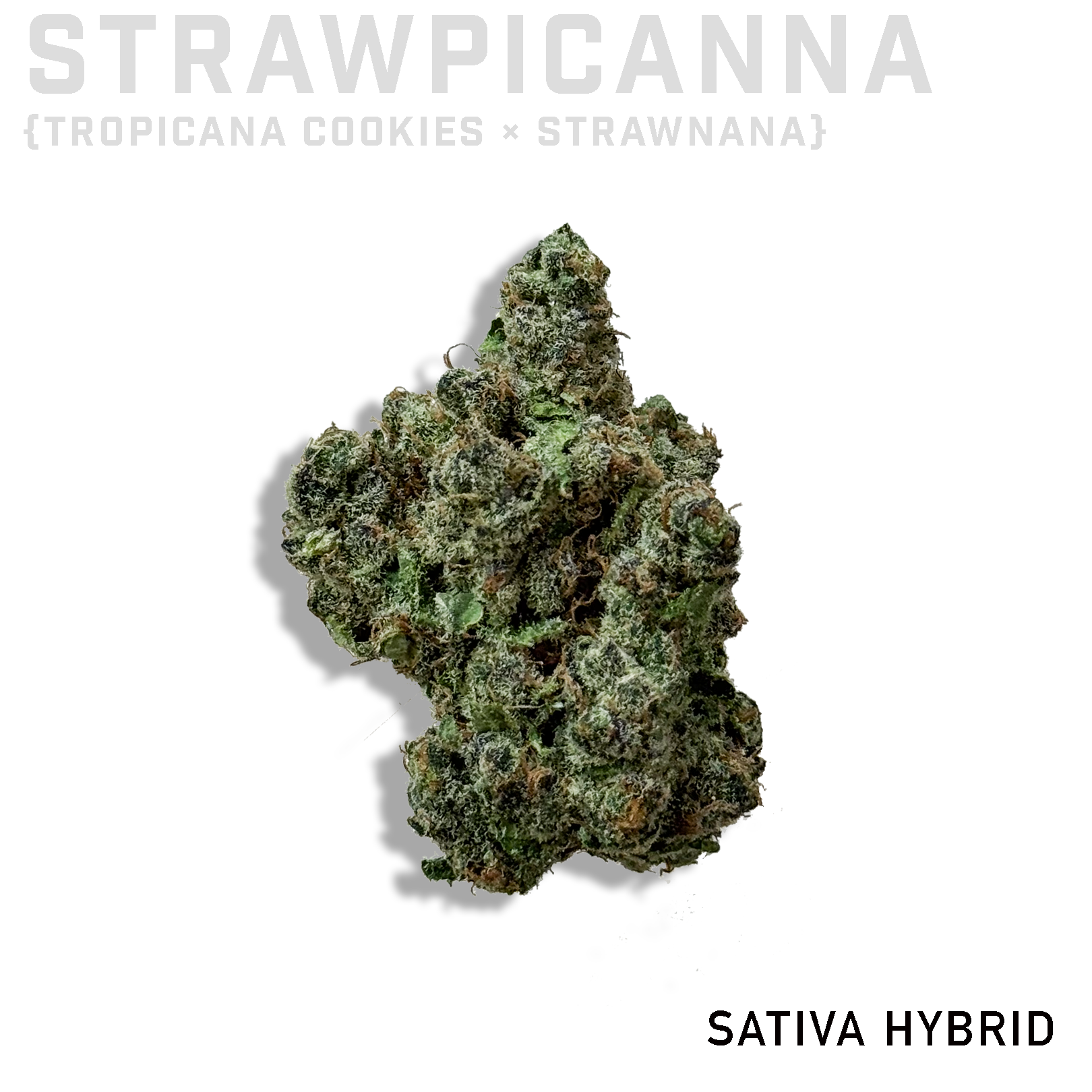 Strawpicanna