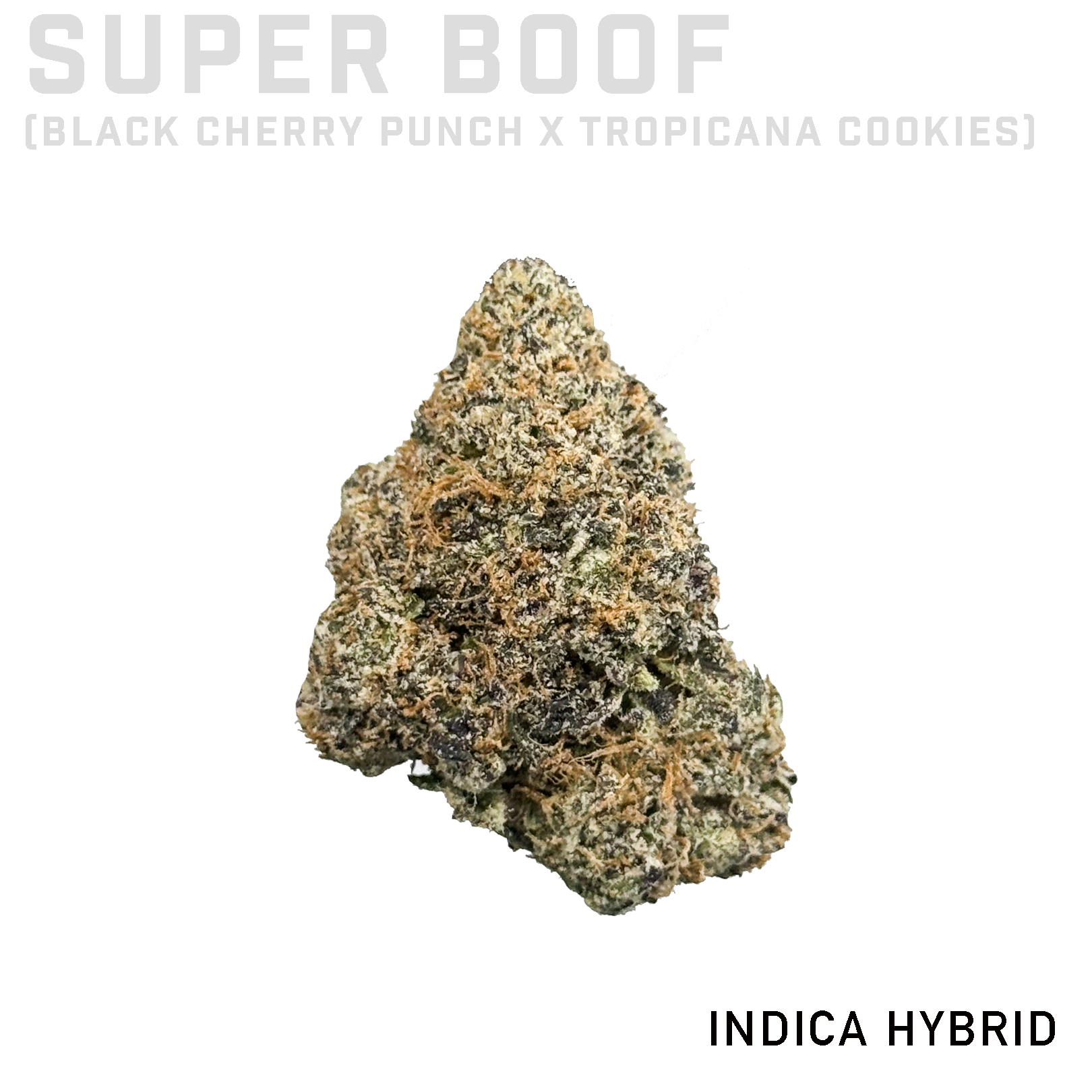 Super Boof