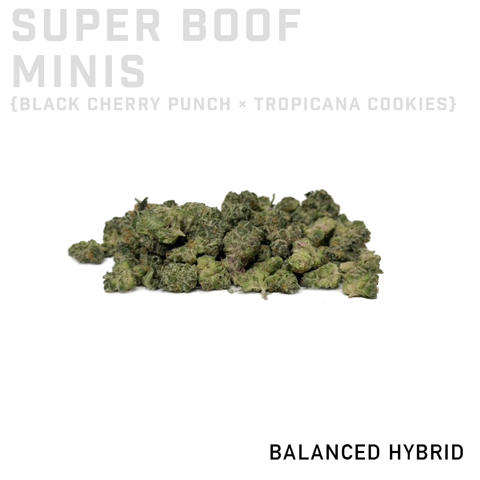 Super Boof Minis