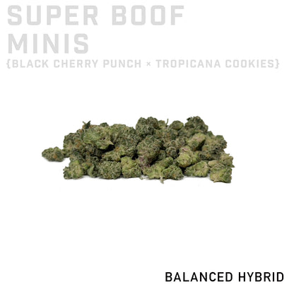 Super Boof Minis