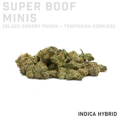Super Boof Minis
