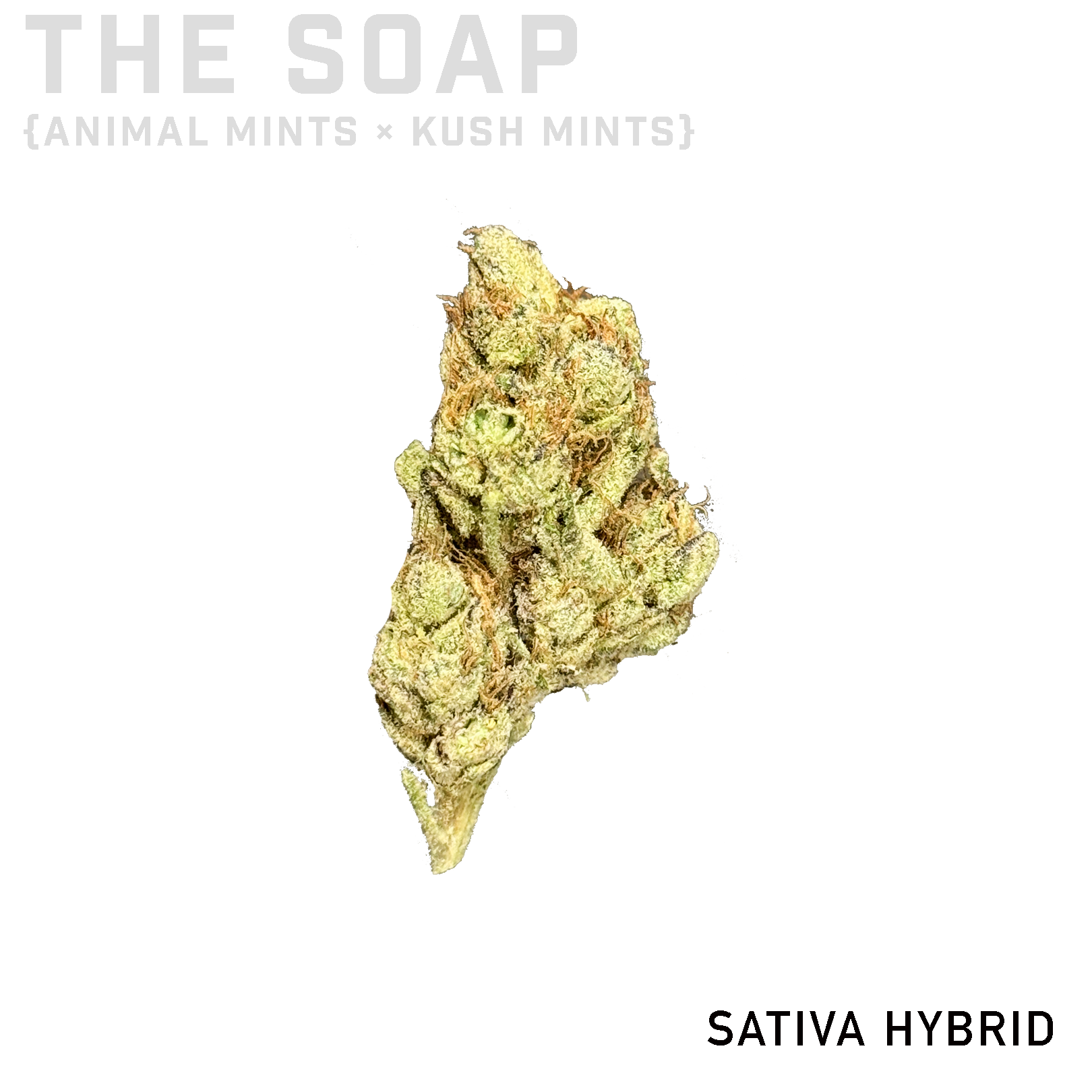 The Soap
