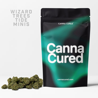 Wizard Trees Tide Minis