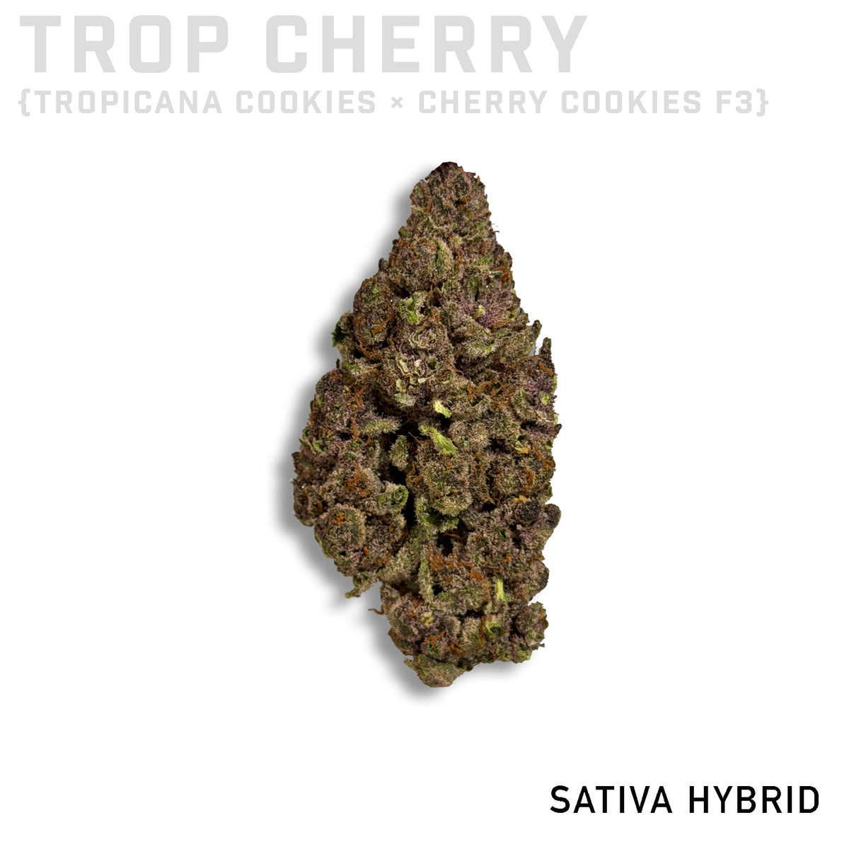 Trop Cherry