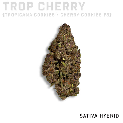 Trop Cherry