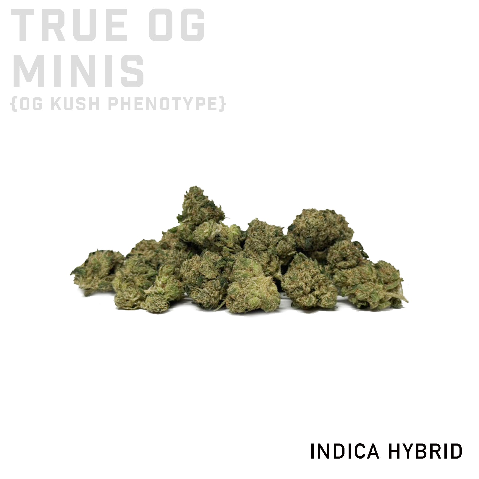 True OG Minis