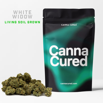 White Widow Minis Living Soil Grown by No Till Kings