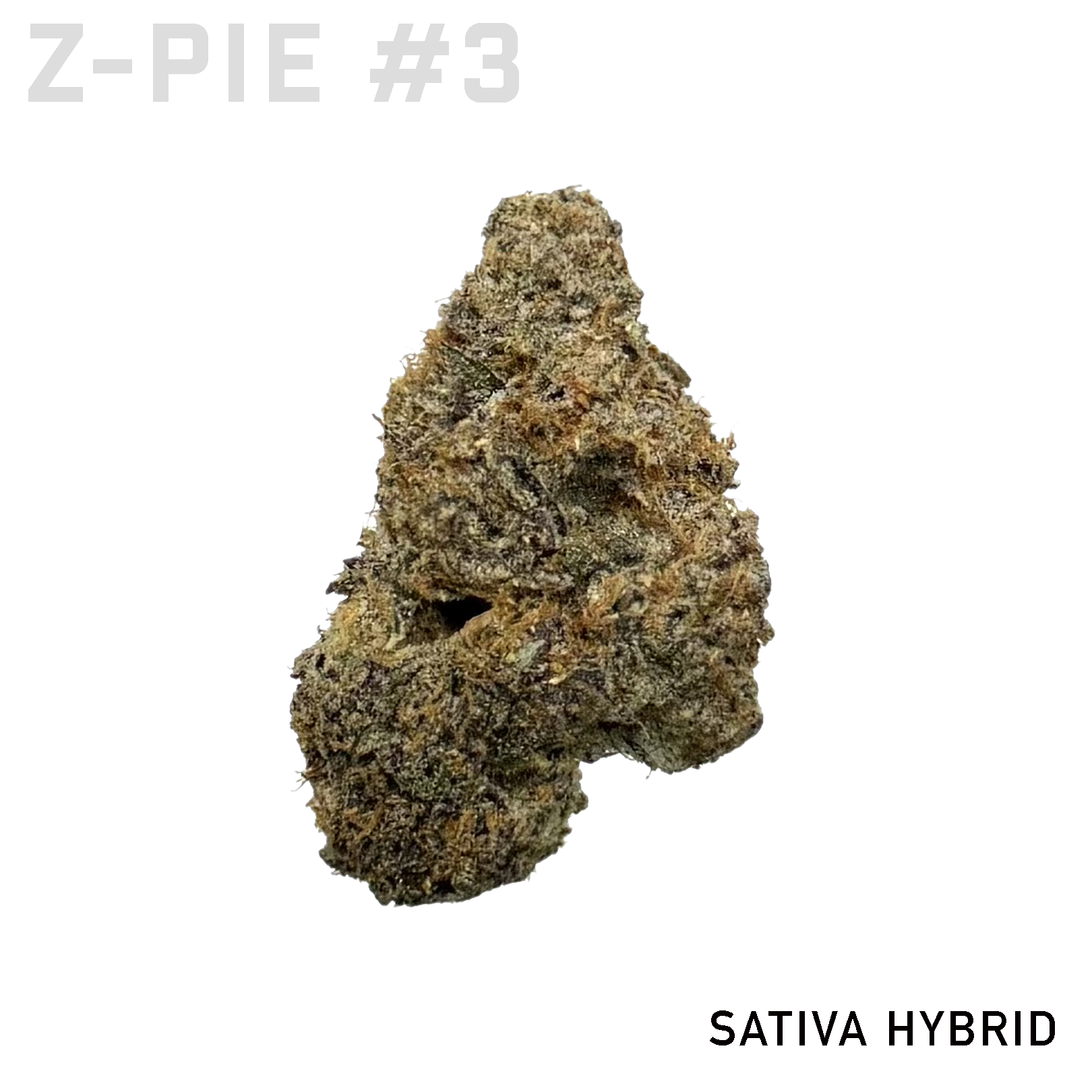 Z-PIE #3