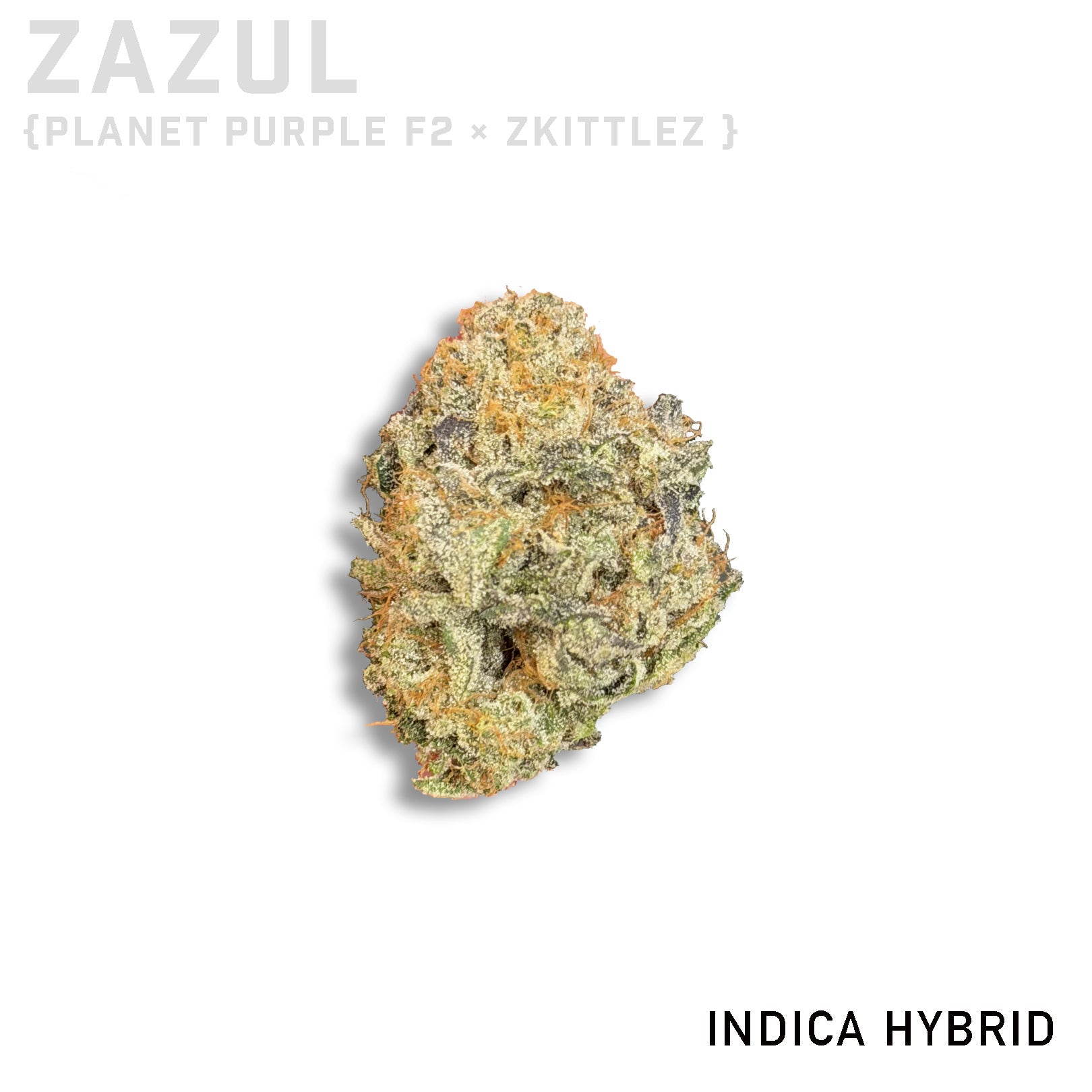 Zazul Living Soil Grown