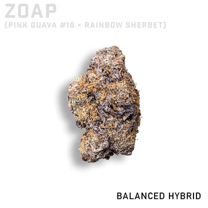 Connected Zoap