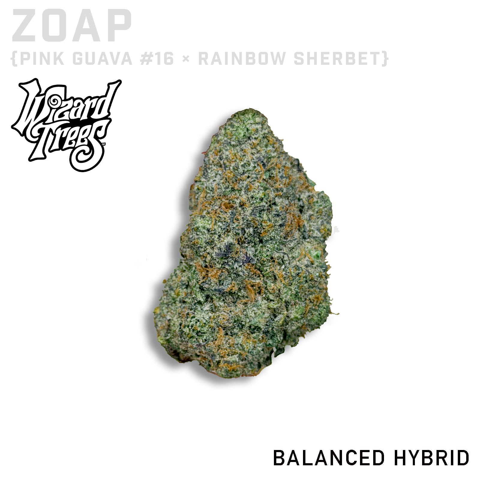 Zoap by Wizard Trees