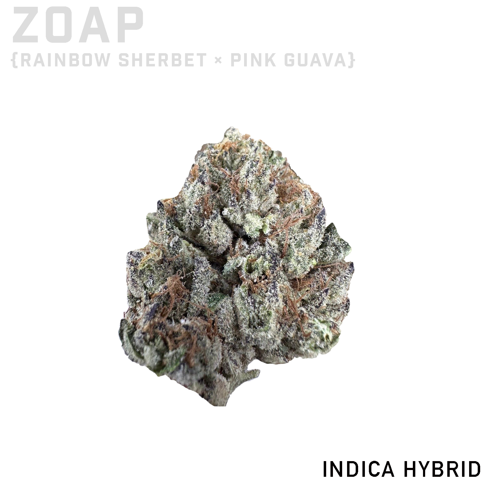 Zoap