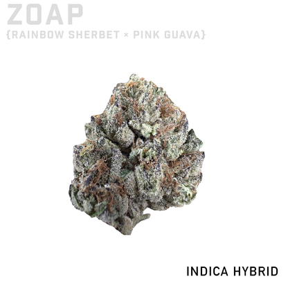 Zoap