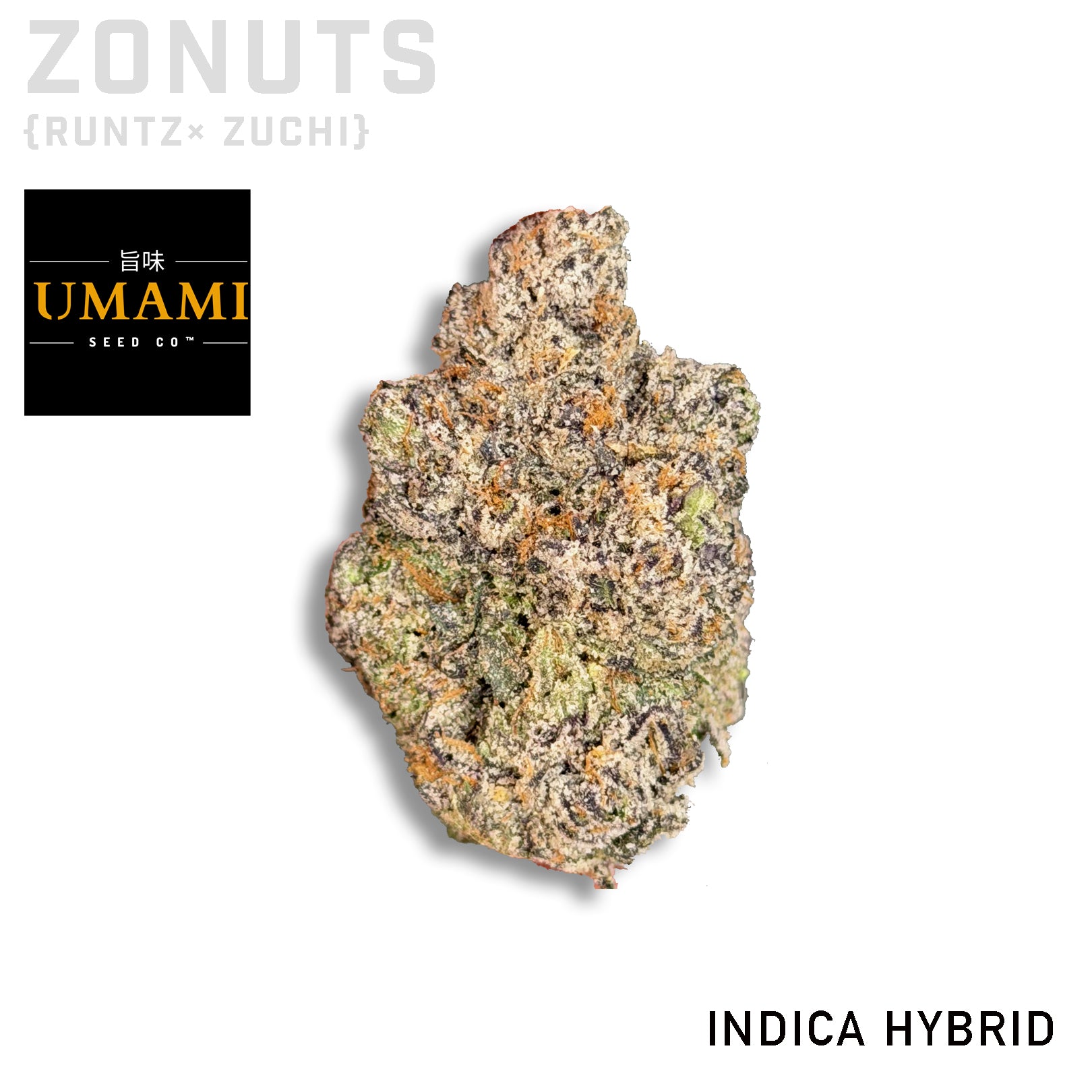 Zonuts by Umami Seed Co