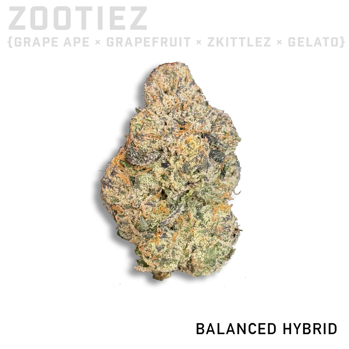 Zootiez