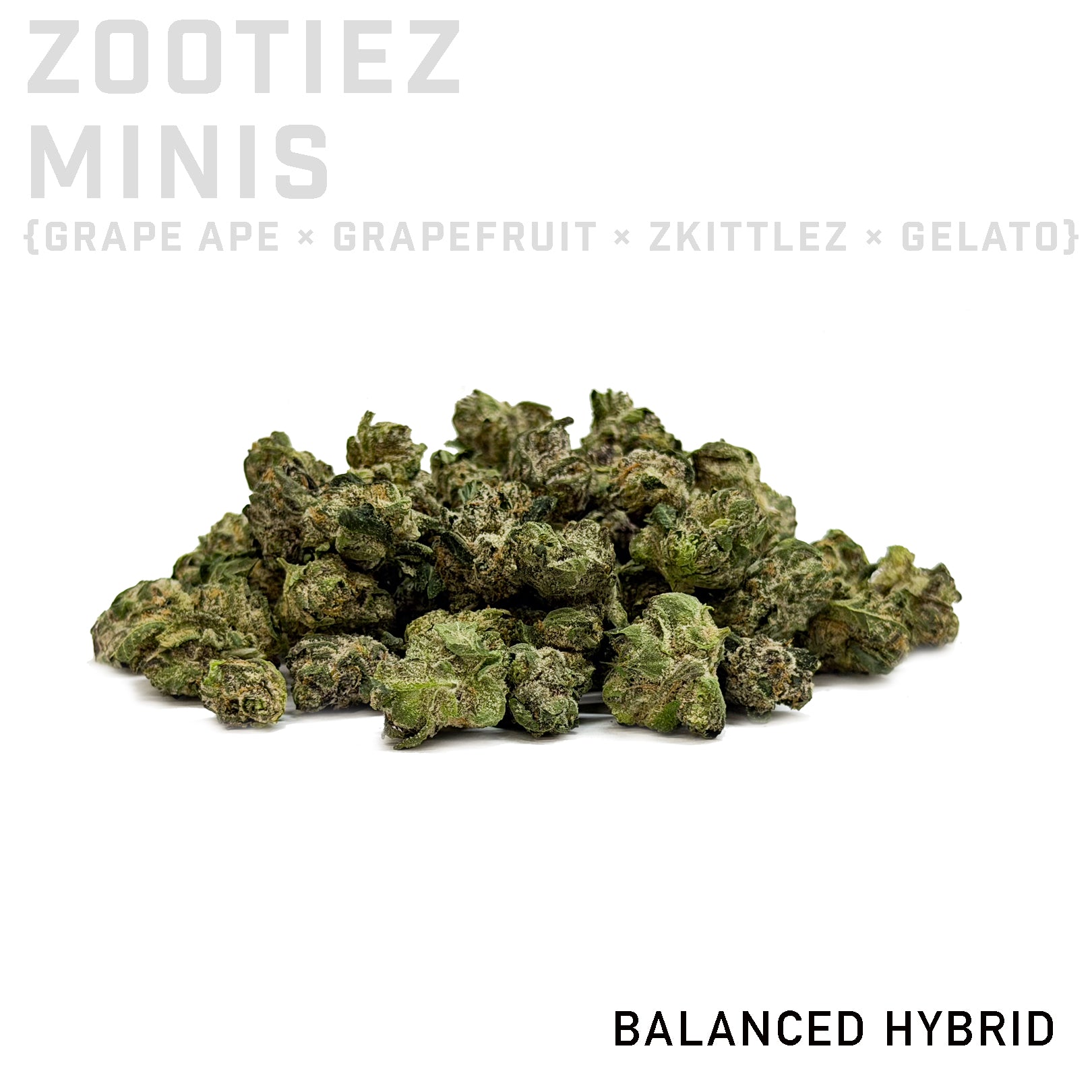 Zootiez Minis