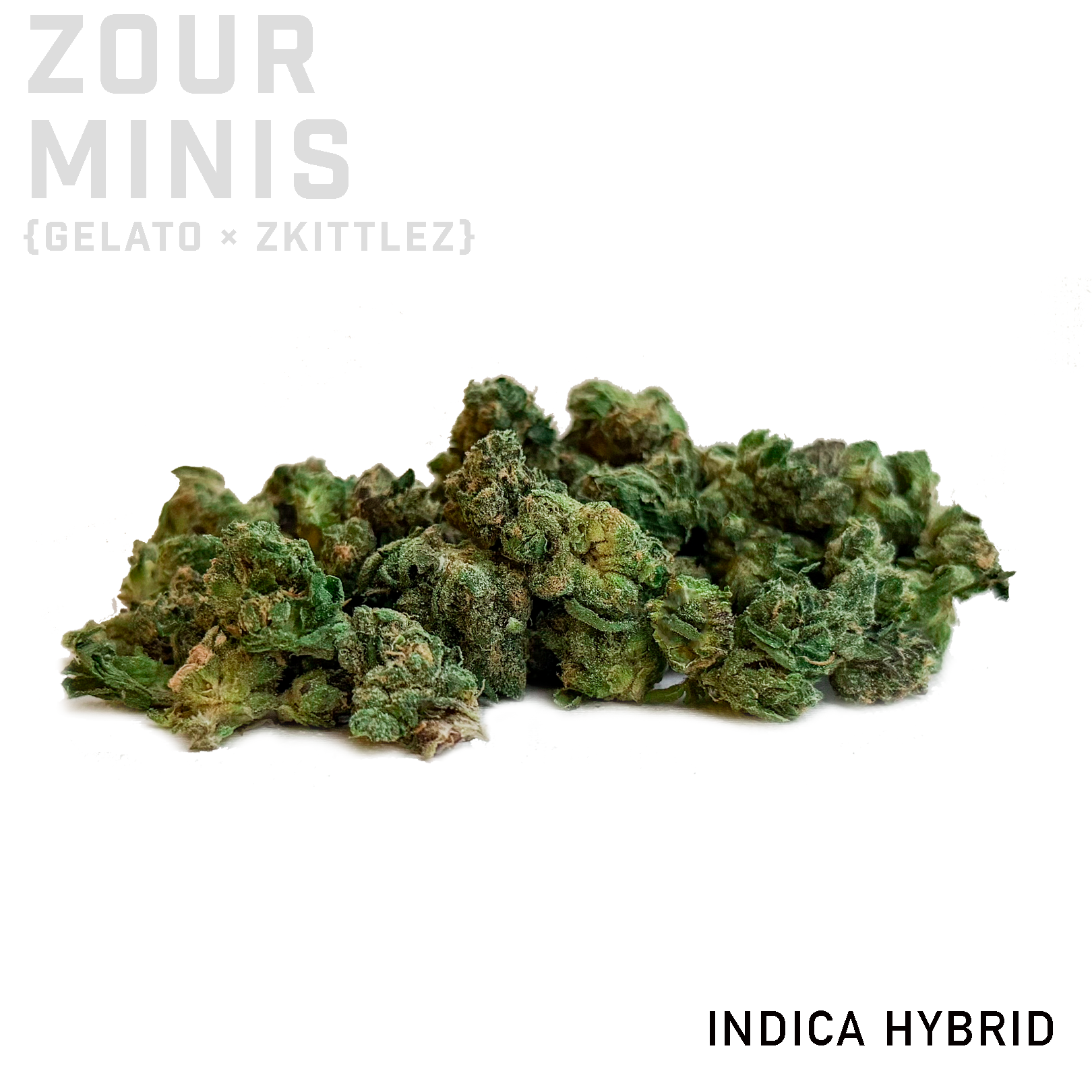 Zour Minis