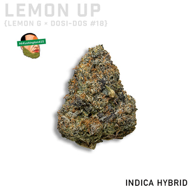 Lemon Up by MrKushington415